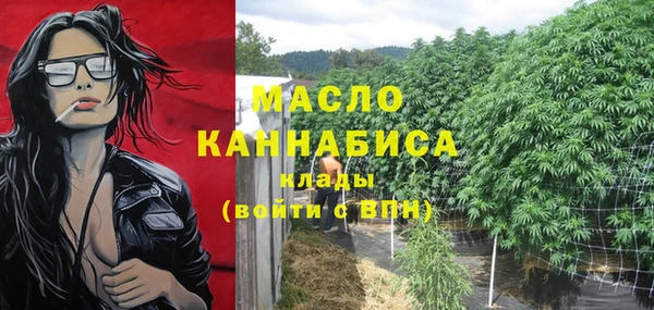 ECSTASY Богородицк