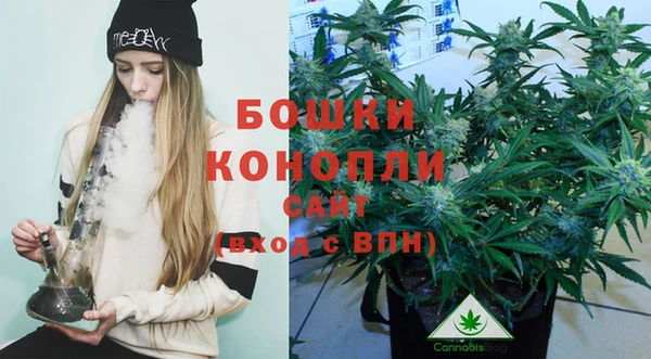 соль курить ск Богданович