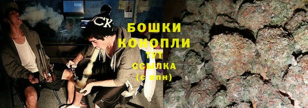 ECSTASY Богородицк