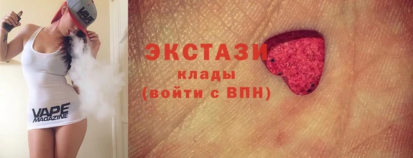 ECSTASY Богородицк