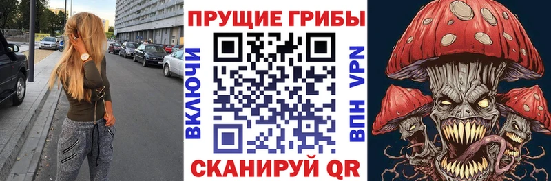 Купить  Дедовск  Галлюциногенные грибы GOLDEN TEACHER 